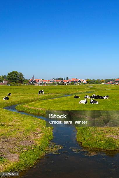 Photo libre de droit de Paysage Du Pays Néerlandais Par Une Belle Journée Ensoleillée banque d'images et plus d'images libres de droit de Agriculture