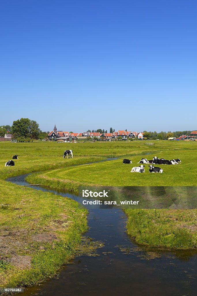 Holenderski kraju Krajobraz na Jasny, słoneczny dzień - Zbiór zdjęć royalty-free (Bez ludzi)