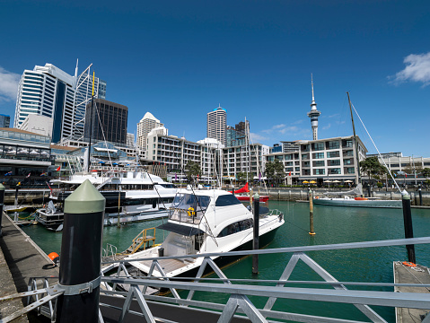 Viaduct Harbour Marina in a sunny day in Auckland, New Zealand