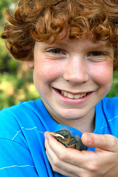 istock Happy Child Holding Baby Bird 182750719