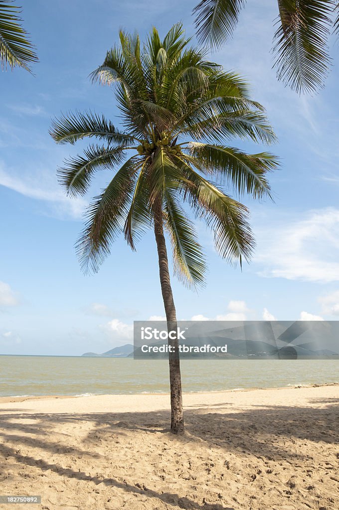 Идиллический тропический пляж в Вьетнам - Стоковые фото Азия роялти-фри