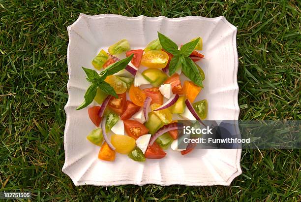 Ensalada De Tomate Heirloom Homegrown Orgánicos Detrás De Un Picnic En Prado Fondo Foto de stock y más banco de imágenes de Aire libre