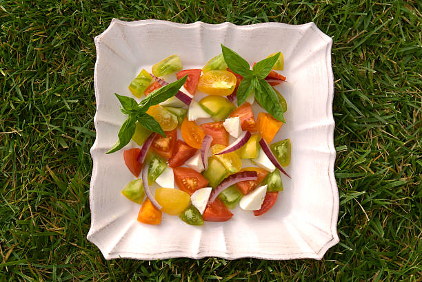 homegrown 유기 토종 토마토 샐러드, 말수는 on 잔디 배경기술 - heirloom tomato organic tomato green tomato 뉴스 사진 이미지