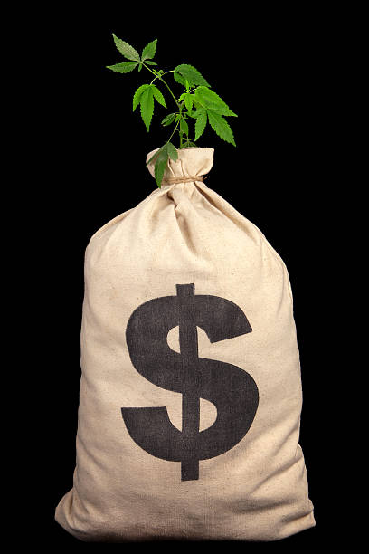 istock drug money 182751853
