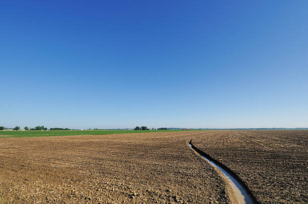 istock Indiana Agriculture Cornfield Plant Rows, Barn and Farm in Spring 182752797