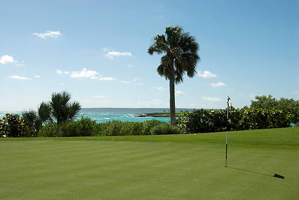 istock Tropical Golf Course With Putting Green, Flag, Ocean 182752838