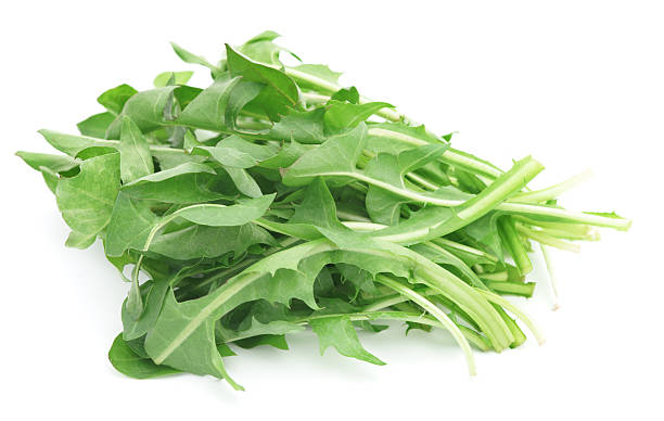 Dandelion greens isolated on white