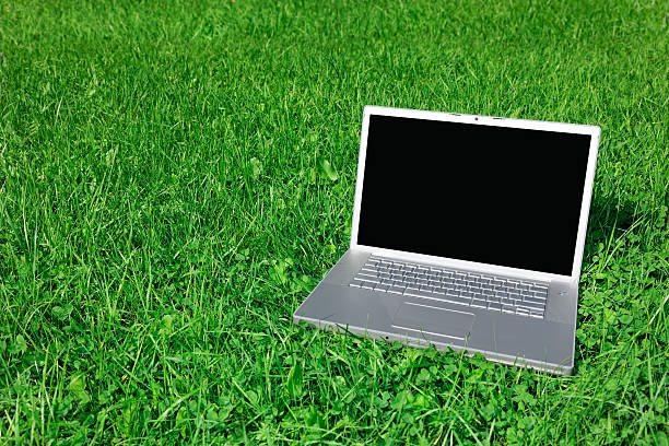 istock Laptop on fresh green grass 182753531