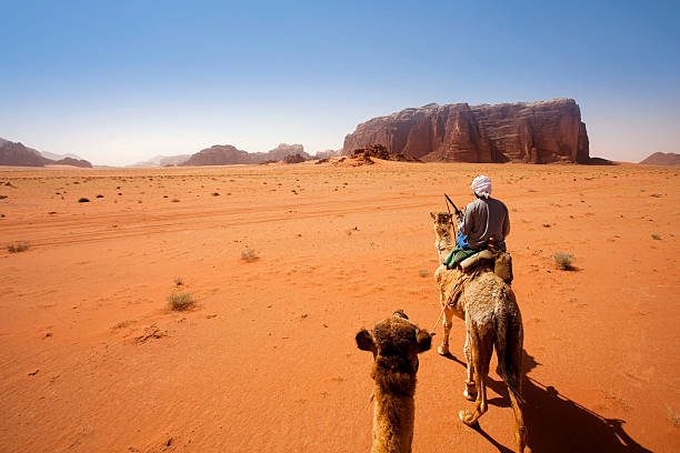 wüste wadi rum, jordanien - jordan camel wadi rum arabia stock-fotos und bilder