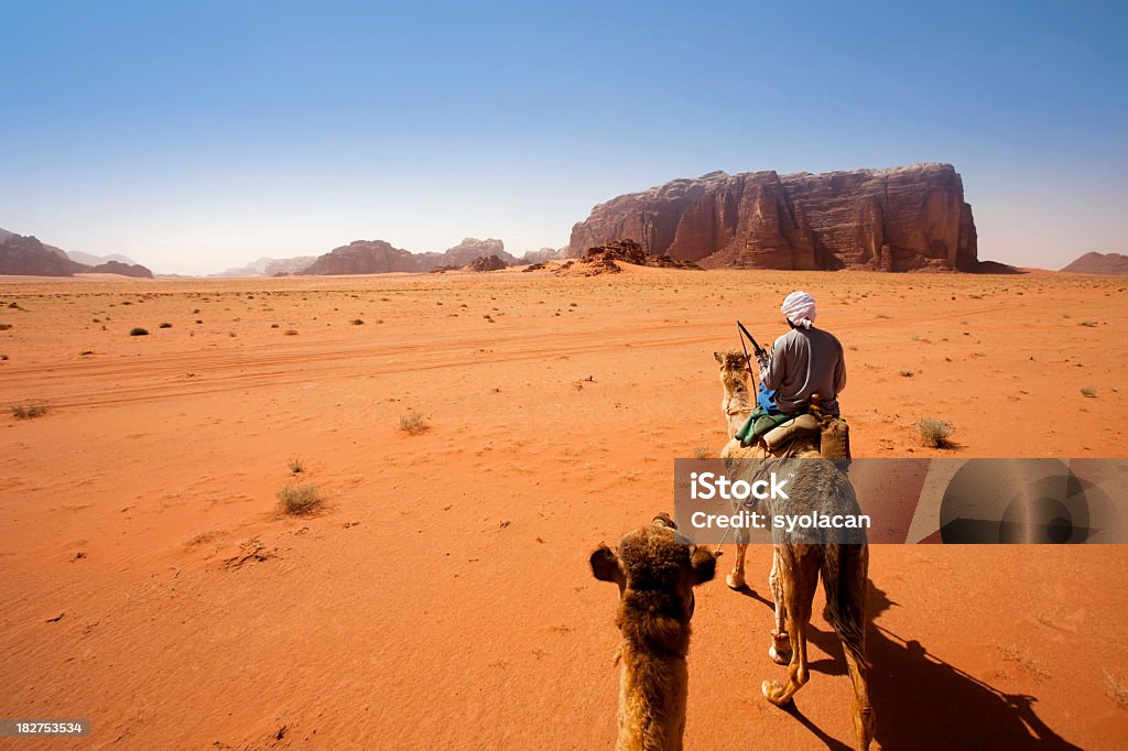 Wadi Rum Desert, Jordan Traveling by Camel in Wadi Rum Desert, Jordan Wadi Rum Stock Photo