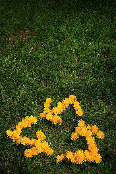istock flowers in form recycling symbol 182753727