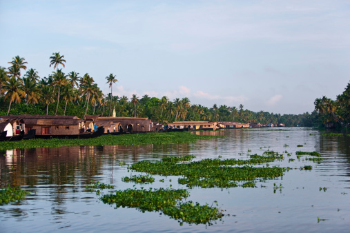 House boats on Kerala's backwaters, India.http://bem.2be.pl/IS/rajasthan_380.jpg