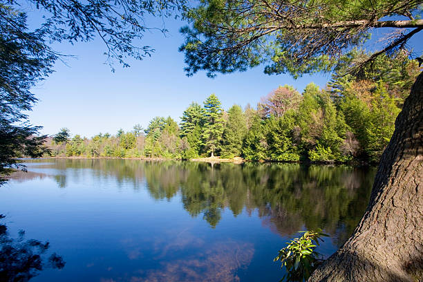 Mountain Lake – zdjęcie