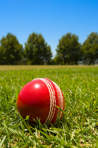 istock Cricket ball in green grass 182753956