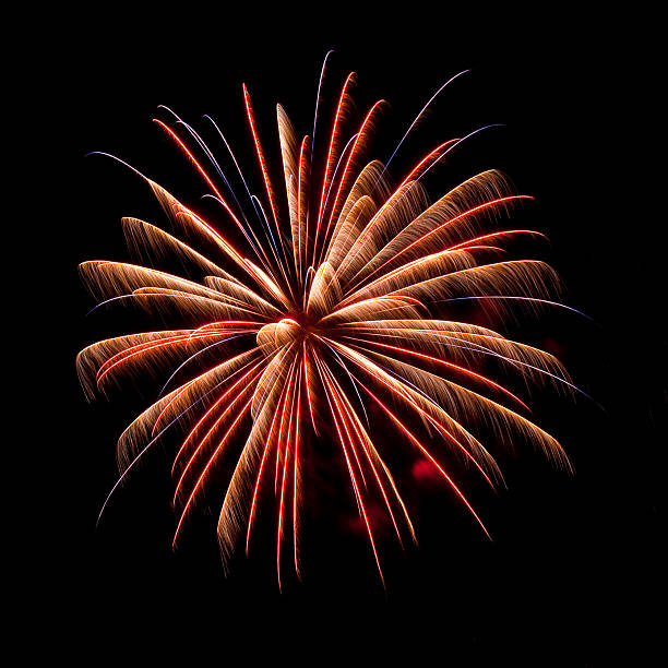 Single Firework on Black A single firework explodes against the night sky. firework man made object stock pictures, royalty-free photos & images