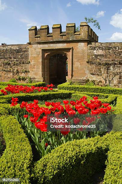 Kenilworth Castle Stock Photo - Download Image Now - Kenilworth Castle, Hedge, Royalty