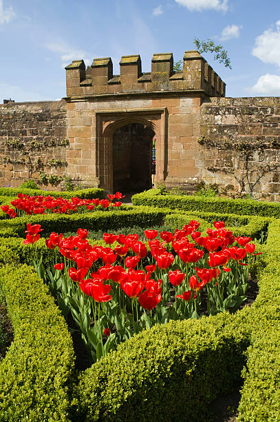 zamek w kenilworth - gate palace english culture formal garden zdjęcia i obrazy z banku zdjęć