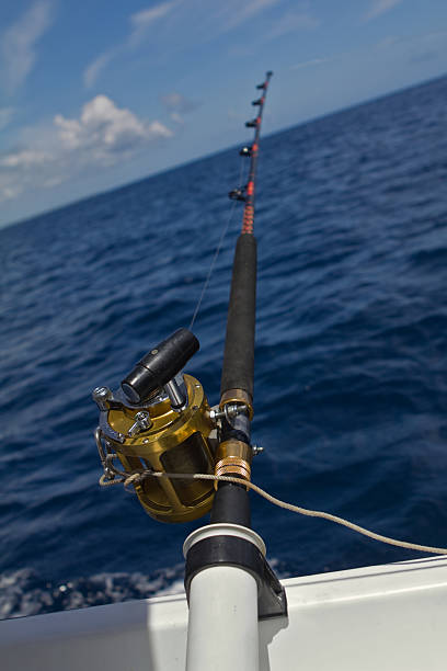 istock Fishing rod and reel waiting... 182754511