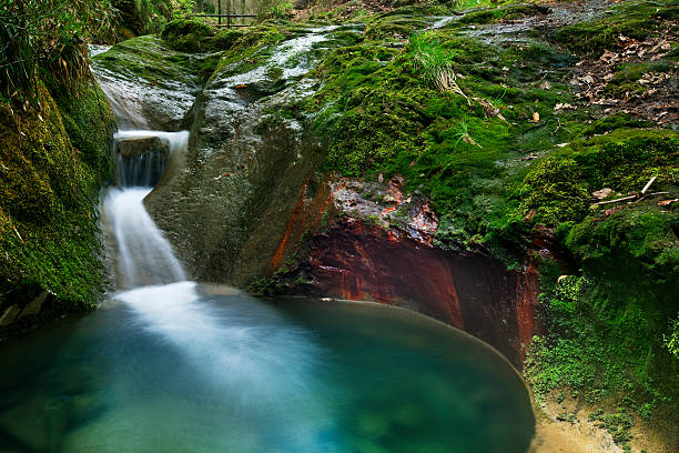A small forest river in the Ardennes in Belgium.