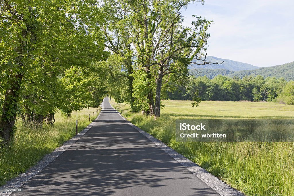 Летний Сельская дорога в горы дымчатый - Стоковые фото Cades Cove роялти-фри