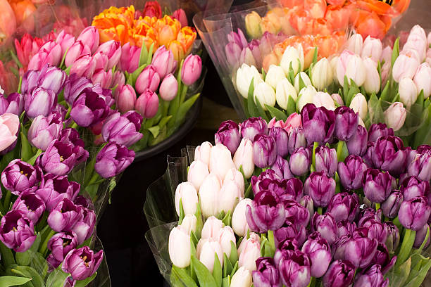 istock Tulip Bouquets at Market 182754938