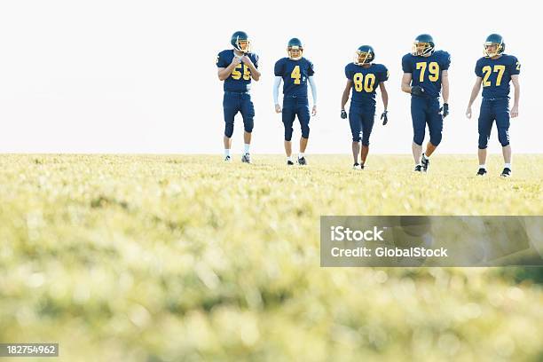 Pro American Futbolistas En Azul Uniforme En Un Campo Foto de stock y más banco de imágenes de Traje de fútbol americano