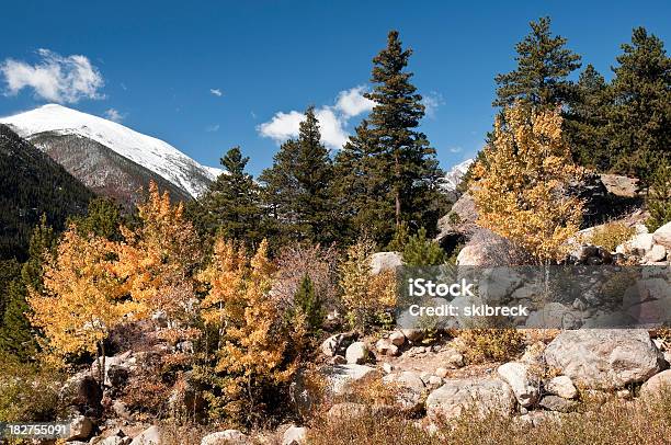 Outono No Parque Nacional Das Montanhas Rochosas - Fotografias de stock e mais imagens de Choupo tremedor - Choupo tremedor, Parque Nacional das Montanhas Rochosas, Ao Ar Livre