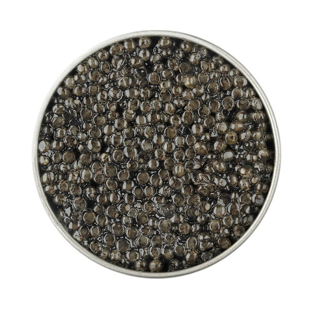 Caviar Beluga in a can caviar stock pictures, royalty-free photos & images