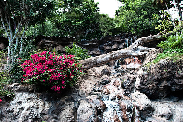 Cascata e fiori a Tenerife, Isole Canarie - foto stock