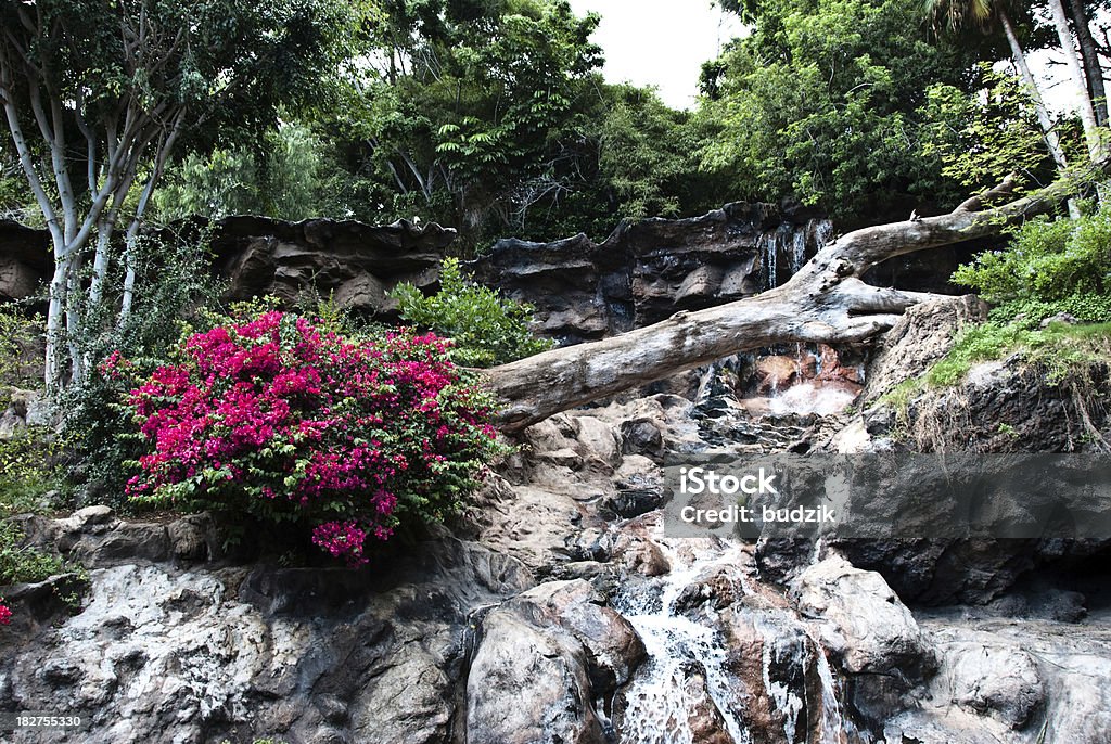 Wodospad i kwiaty na Teneryfa, Wyspy Kanaryjskie - Zbiór zdjęć royalty-free (Bez ludzi)