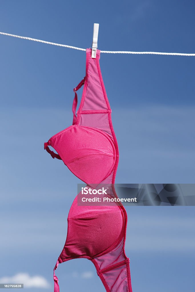 Bra On Clothesline Stock Photo - Download Image Now - Bra, Hanging,  Clothesline - iStock