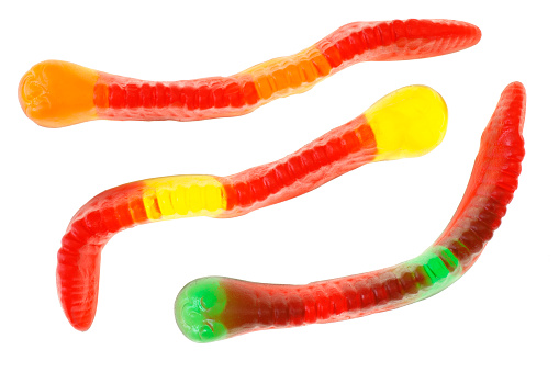 Three gummy worms backlit and isolated on white.