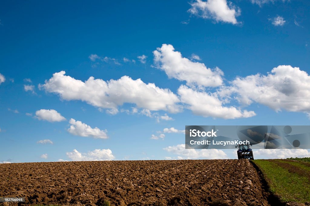 Field Arbeit - Lizenzfrei Agrarbetrieb Stock-Foto