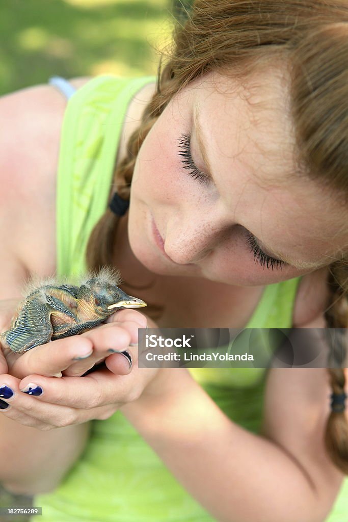 Menina segurando o bebê Bird - Foto de stock de 12-13 Anos royalty-free