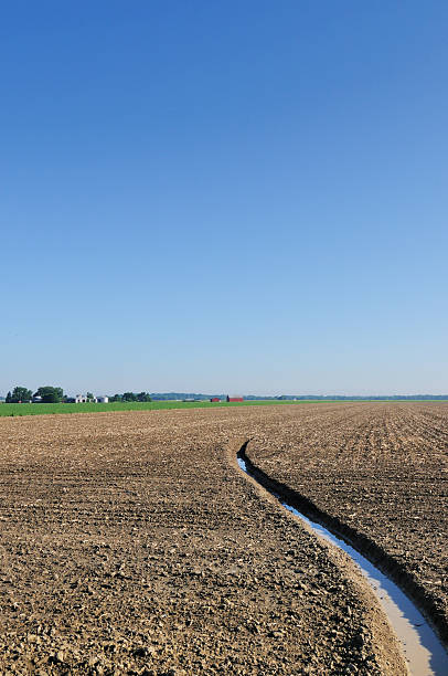 istock Indiana Agriculture Cornfield Plant Rows, Barn and Farm in Spring 182756340