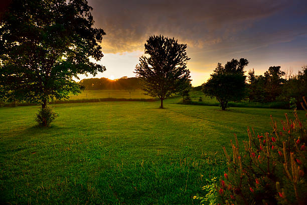istock Gentle Spring Rain Waters The Lawn At Sunset 182756720