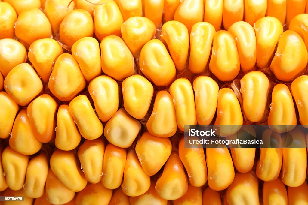 Dried corn Close up view of dried corn kernels Backgrounds Stock Photo