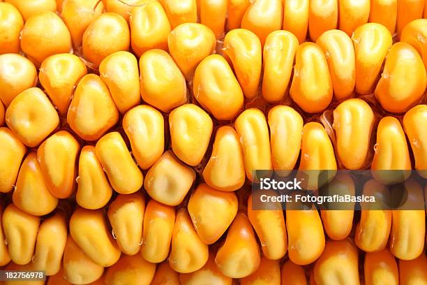 Dried Corn Stock Photo - Download Image Now - Backgrounds, Cereal Plant, Close-up
