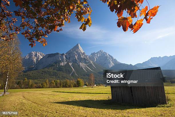 Summer Meadow Cerca Ehrwald Foto de stock y más banco de imágenes de Abierto - Abierto, Alpes Europeos, Arce