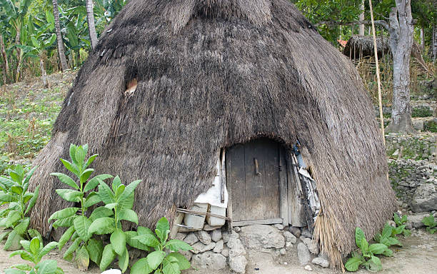 istock House of the Timorese people 182757256