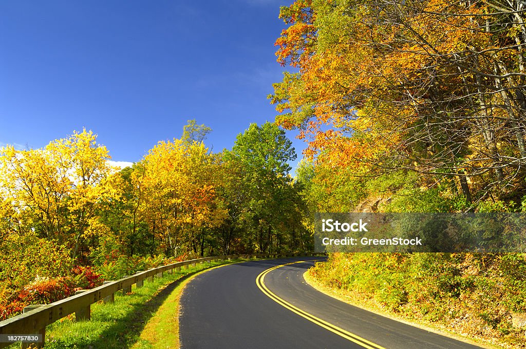 Parco nazionale di Blue Ridge Parkway autunno vista panoramica - Foto stock royalty-free di Albero