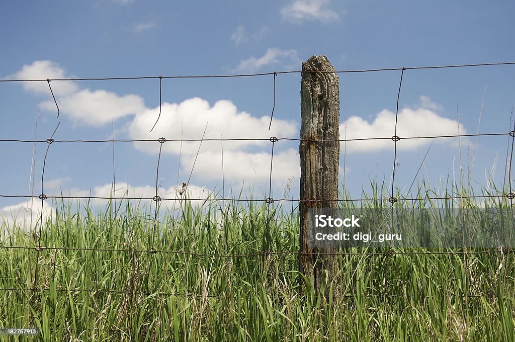 fencepost 国の長い芝生 - ひびが入ったのロイヤリティフリーストックフォト