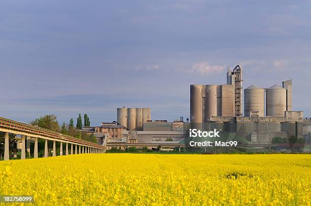 Fábrica De Cimento Na Primavera De Colza - Fotografias de stock e mais imagens de Agricultura - Agricultura, Amarelo, Ao Ar Livre