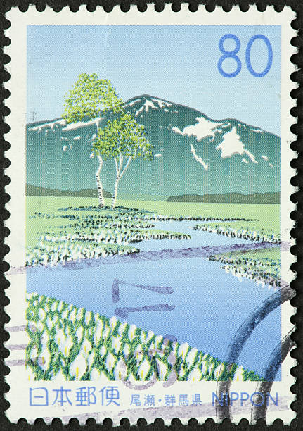 istock Japanese marshy river and mountain 182758116