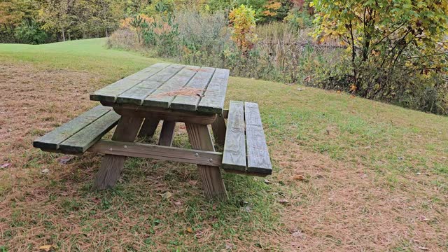 Outdoor wooden picnic table panning around view with early Autumn trees in background