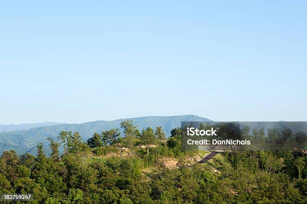 Efeito Smoky Mountain View - Fotografias de stock e mais imagens de Floresta - Floresta, Paisagem - Cena Não Urbana, Ao Ar Livre