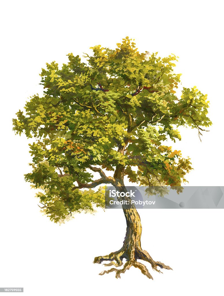 Painted tree "The painted tree on a white background. Painting, my own artwork.The similar images:" Oak Tree stock illustration