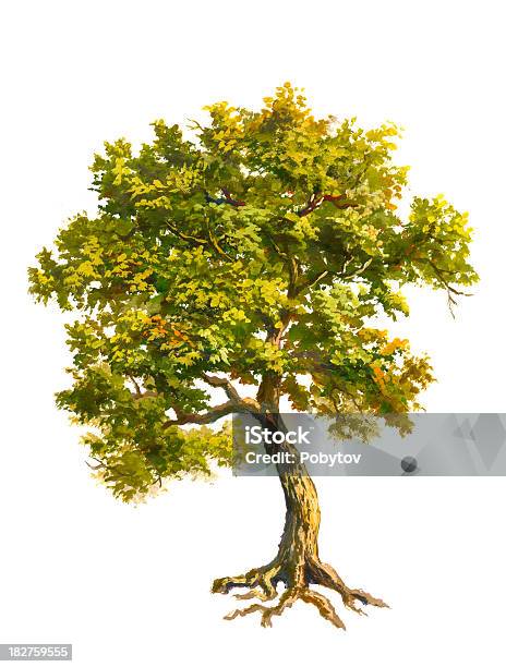 Painted Tree Stock Illustration - Download Image Now - Oak Tree, Paint, Art