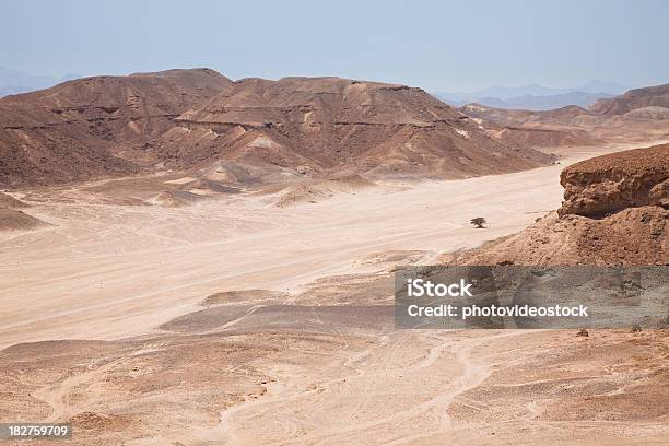 Desert Track Stock Photo - Download Image Now - Absence, Adventure, Arid Climate