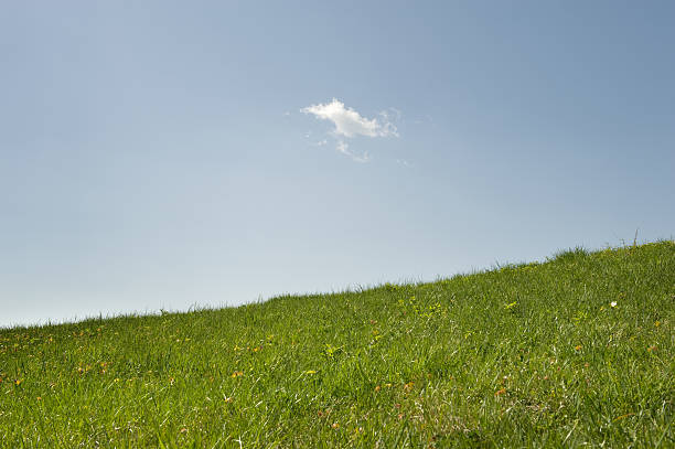 istock Background with Green Grassy Hill, Blue Sky and Lone Cloud 182759781